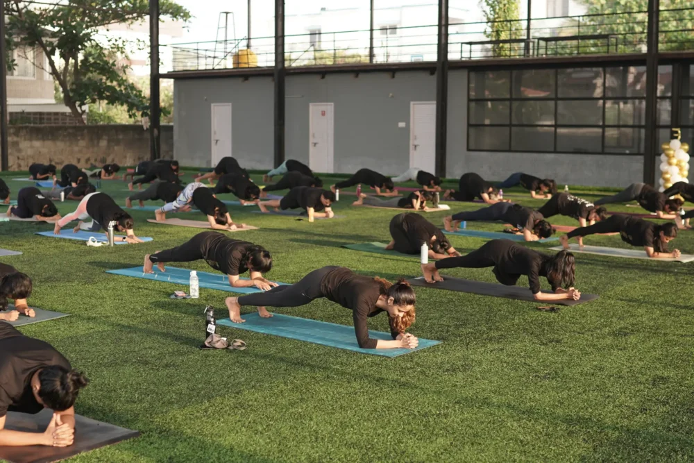 Yoga Classes in Chennai for Ladies