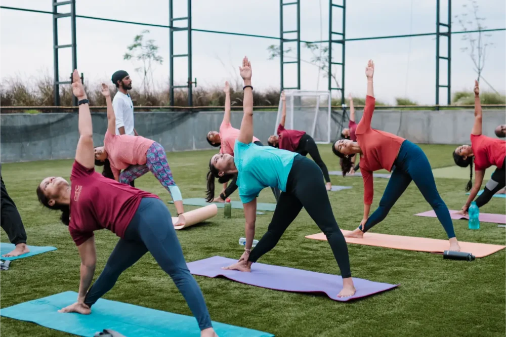 How Many Types of Yoga Are There 2025