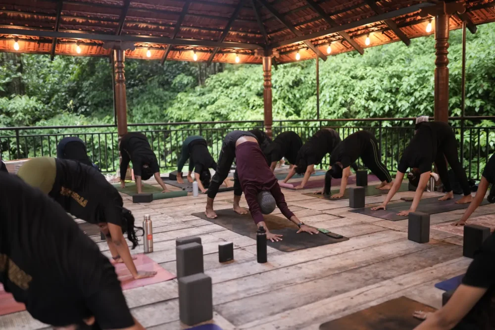 Best online yoga Chennai