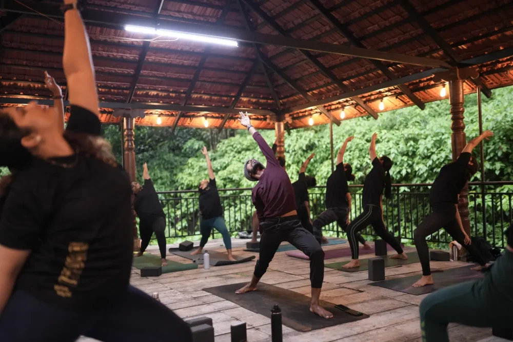 Best Online Yoga Classes for Weight Loss 