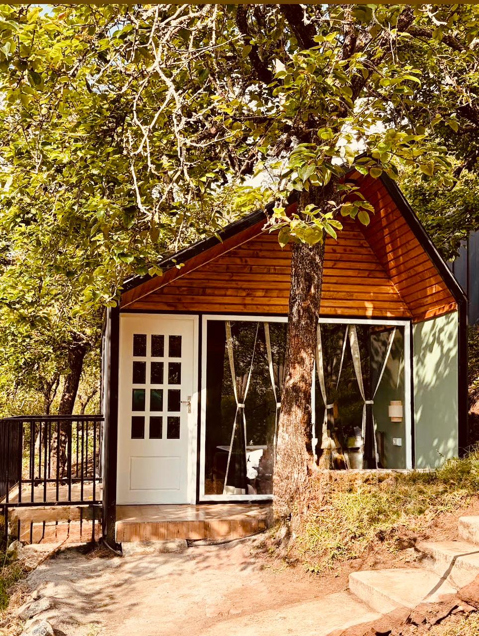 Scandinavian Cabin